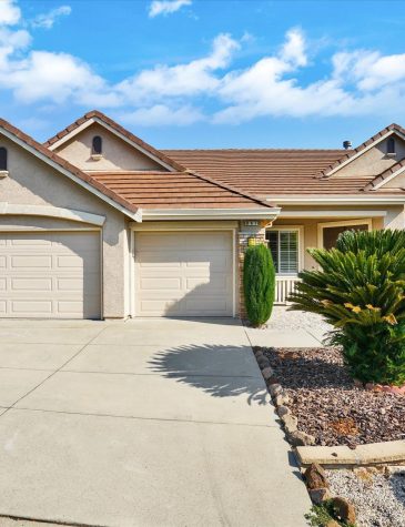 -1214289854980840552